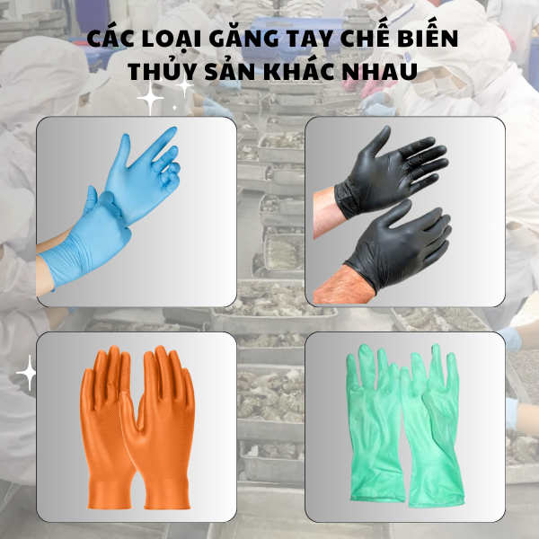 Có bao nhiêu loại găng tay chế biến thủy sản